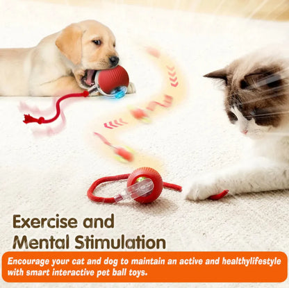 Smart Motion Pet Ball V2 - Good Stuff Shoppy™