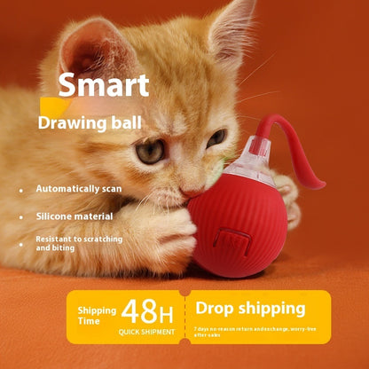 Smart Motion Pet Ball V2 - Good Stuff Shoppy™